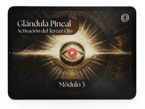 Glándula Pineal Bonus